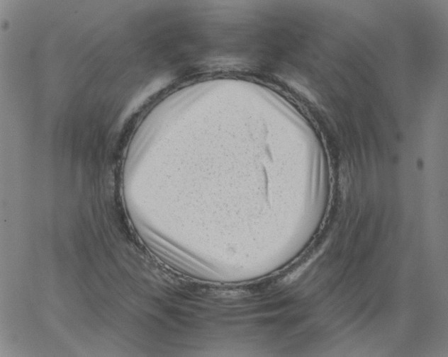 X0000066101309200604071812