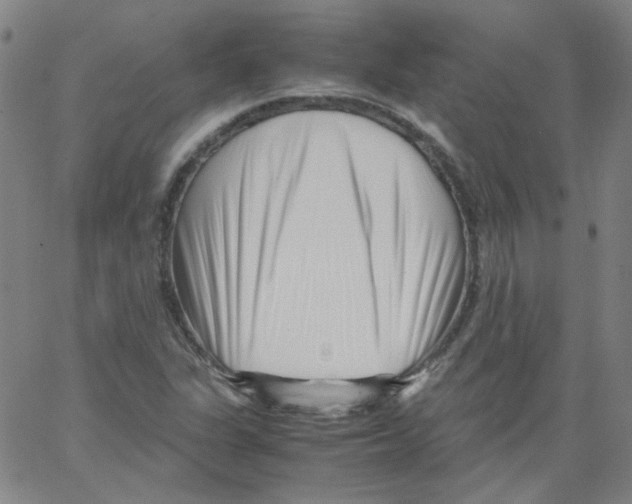 X0000066101311200604071812