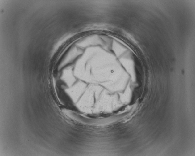 X0000066101312200604071812