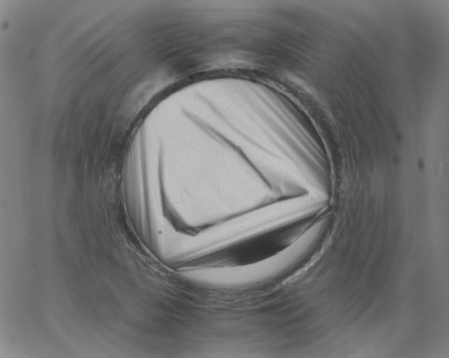 X0000066101313200604071812