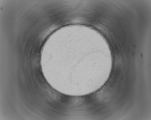 X0000066101314200604071812