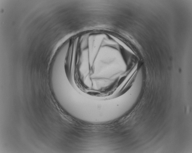 X0000066101316200604071812