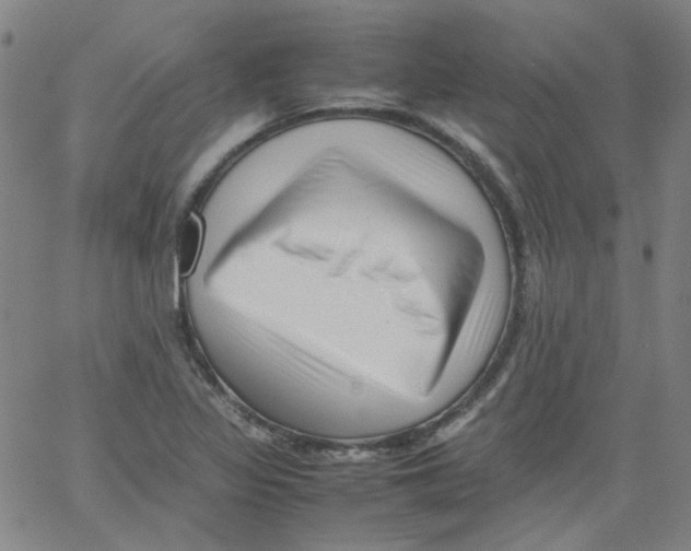 X0000066101317200604071812