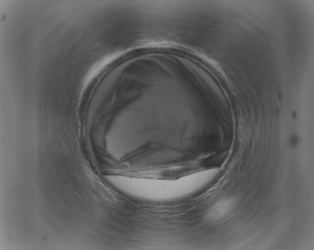 X0000066101319200604071812