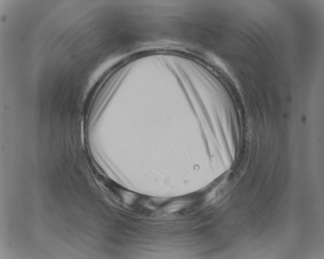 X0000066101320200604071812