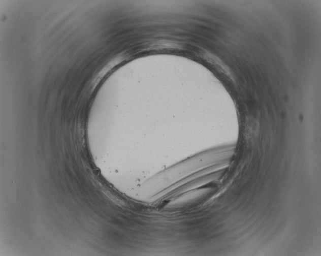 X0000066101321200604071812