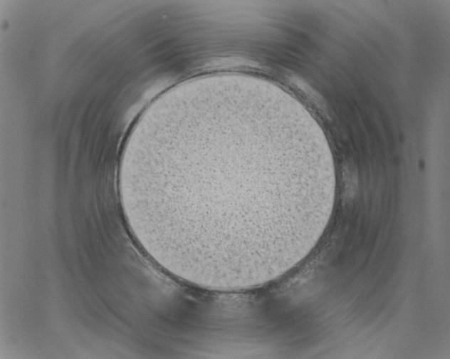 X0000066101322200604071812