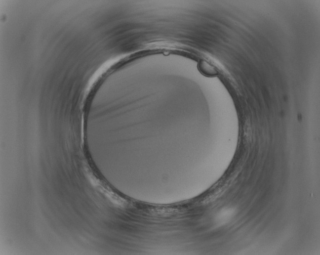 X0000066101323200604071812