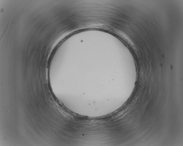 X0000066101324200604071812