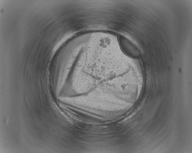 X0000066101325200604071812