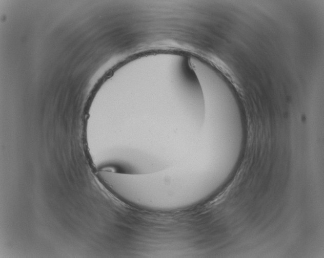 X0000066101326200604071812