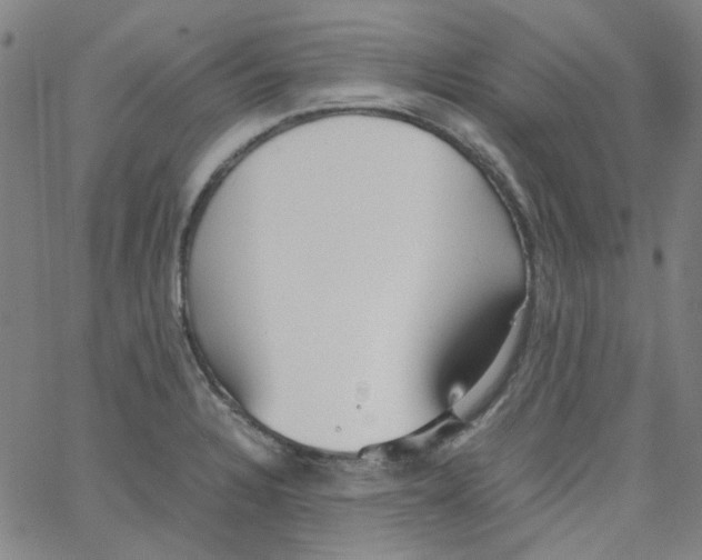 X0000066101328200604071812