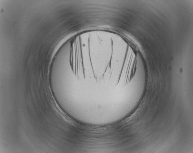 X0000066101332200604071813