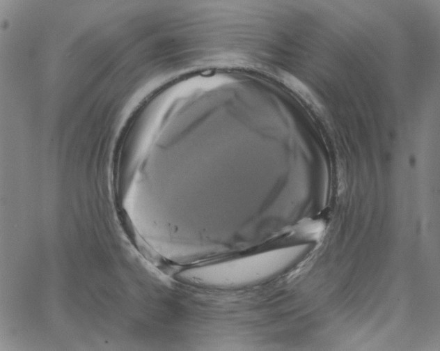 X0000066101334200604071813