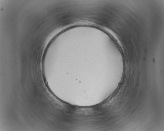 X0000066101335200604071813