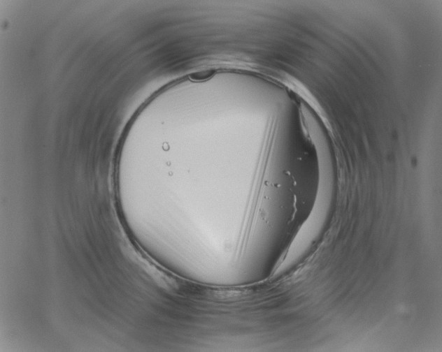 X0000066101339200604071813