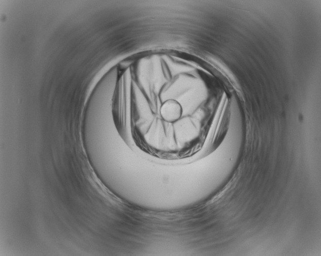 X0000066101340200604071813