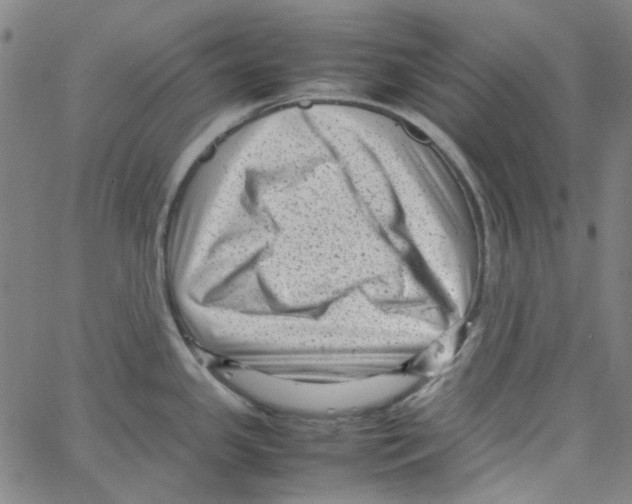 X0000066101341200604071813