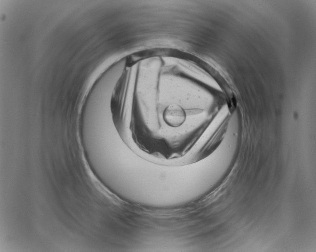 X0000066101342200604071813