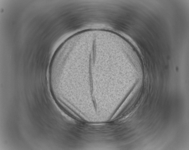 X0000066101343200604071813