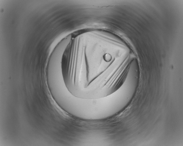 X0000066101344200604071813