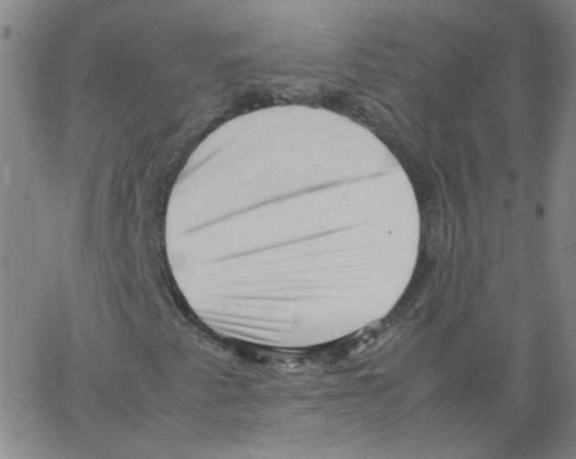 X0000066101345200604071812