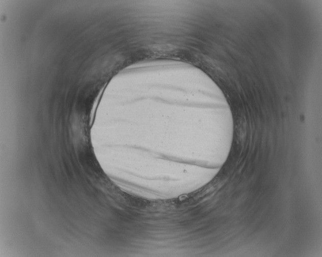 X0000066101346200604071812