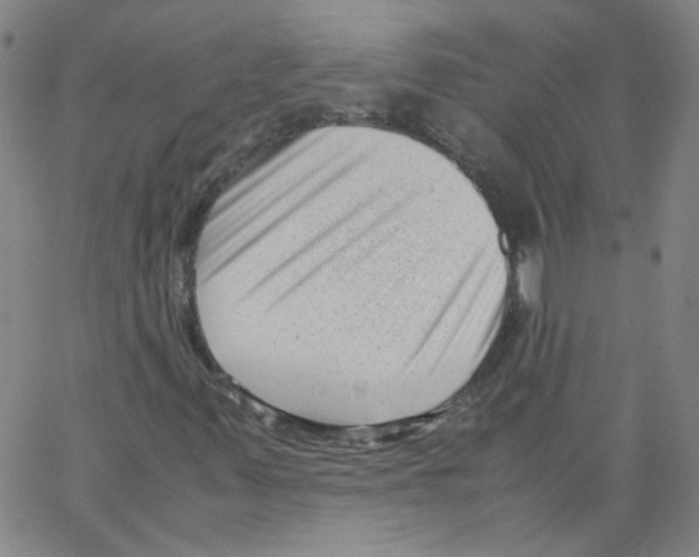 X0000066101347200604071812