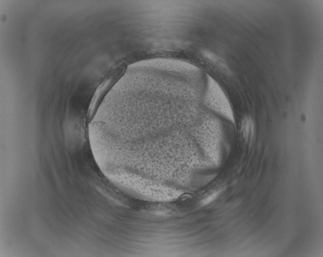 X0000066101348200604071812