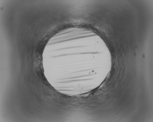 X0000066101349200604071812