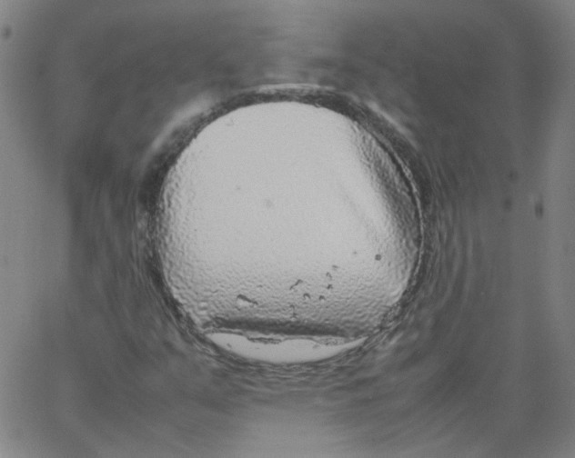 X0000066101351200604071812