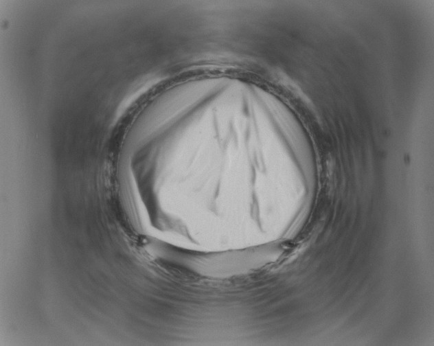 X0000066101352200604071812