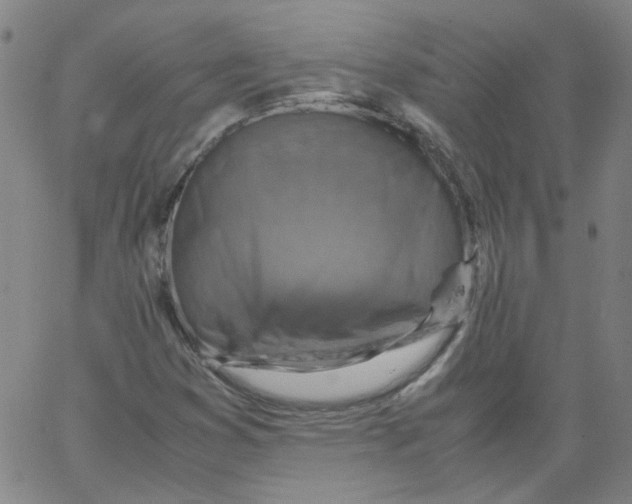 X0000066101353200604071812