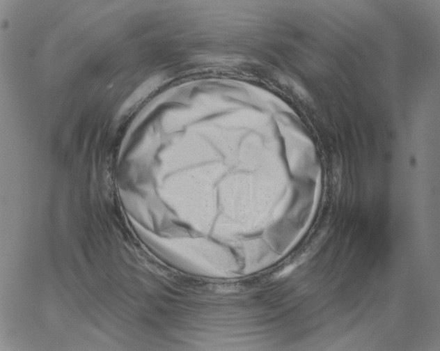 X0000066101354200604071812