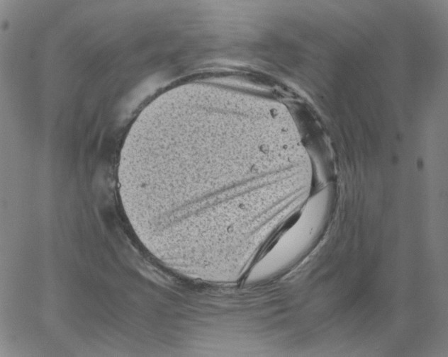 X0000066101355200604071812