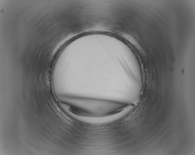 X0000066101356200604071812