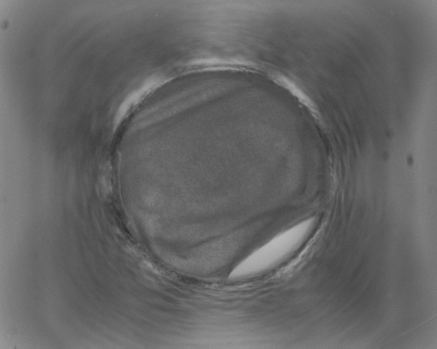 X0000066101357200604071812