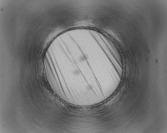 X0000066101358200604071812