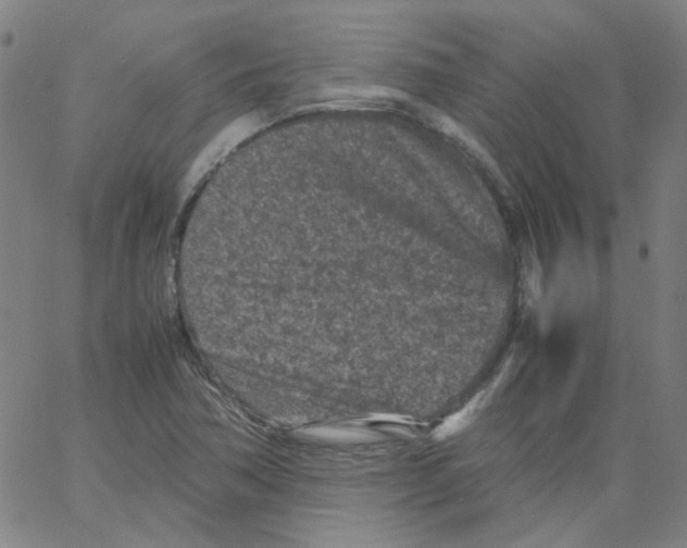 X0000066101362200604071812