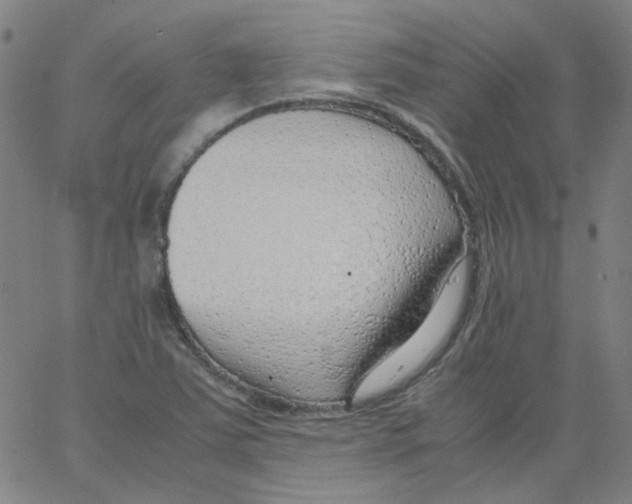 X0000066101363200604071812