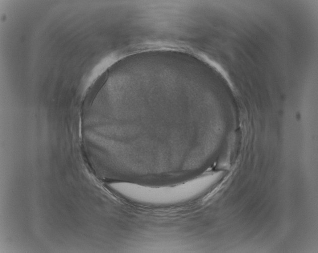 X0000066101365200604071812