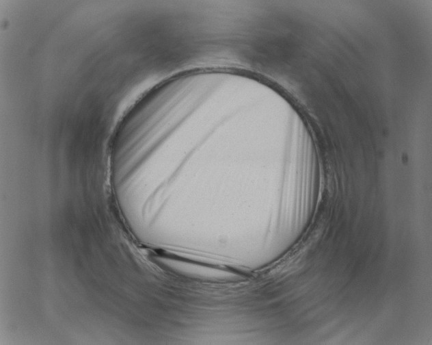 X0000066101366200604071812