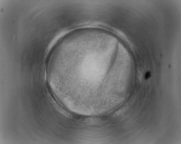 X0000066101368200604071812