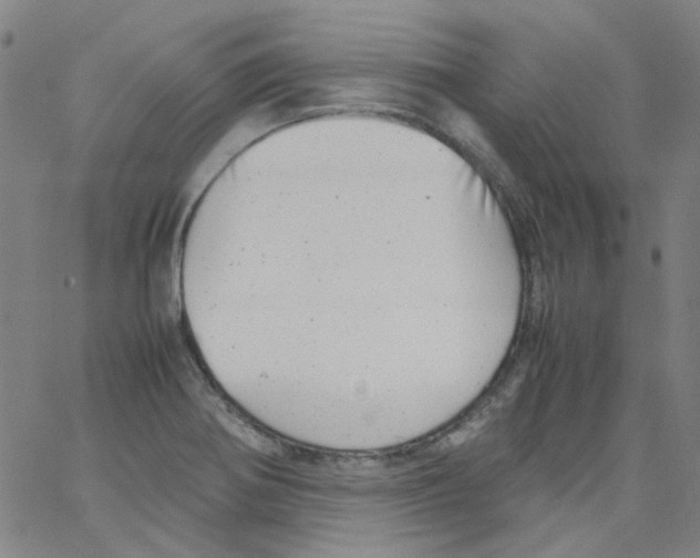 X0000066101370200604071812