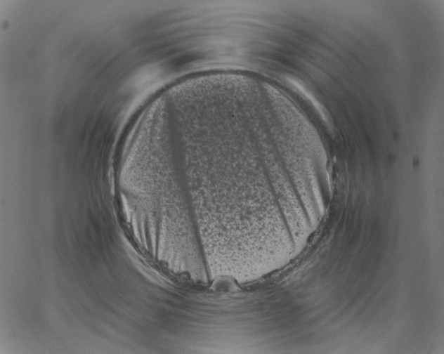 X0000066101372200604071811