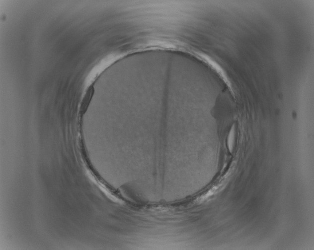 X0000066101373200604071811