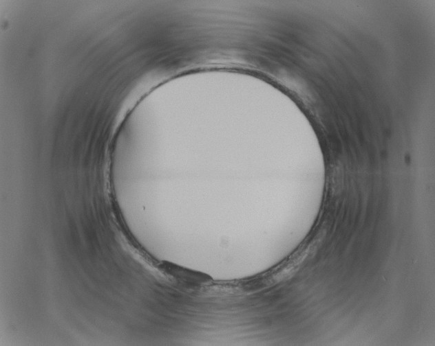 X0000066101374200604071811