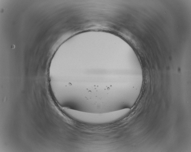 X0000066101375200604071811