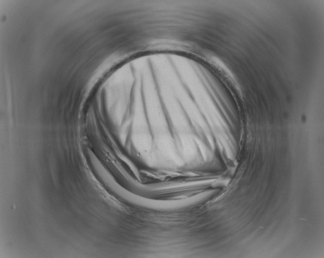 X0000066101376200604071811