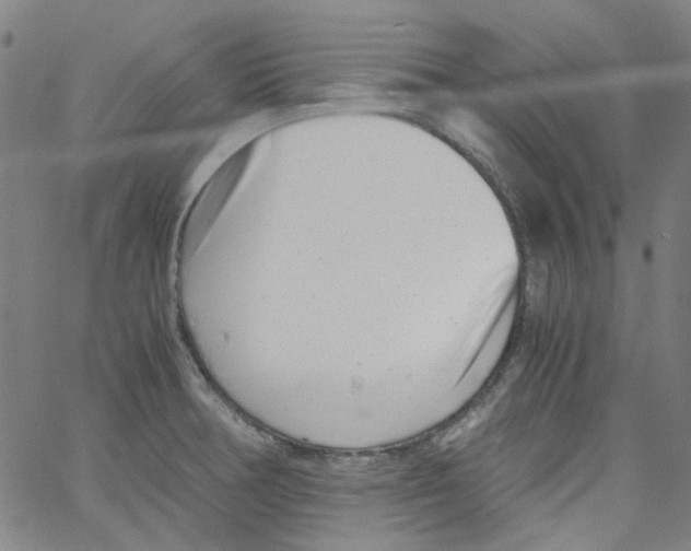 X0000066101378200604071811